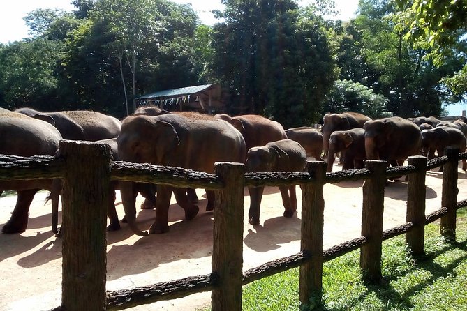 Visit Sri Lanka Tour Air Port Transfer - Schedule and Availability