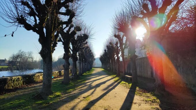 Visit St-Savin and the Gartempe Valley in a 1.5 Hours Tour - Tour Inclusions