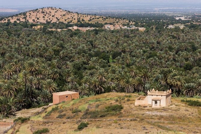 Visit Taroudant and Tiout 1 Day From Agadir - Discover Salam Palace