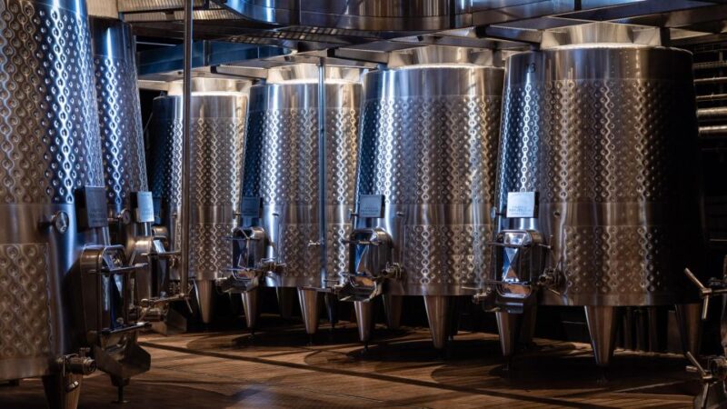 Visit & Tasting Château Yon-Figeac Grand Cru Classé - Key Points