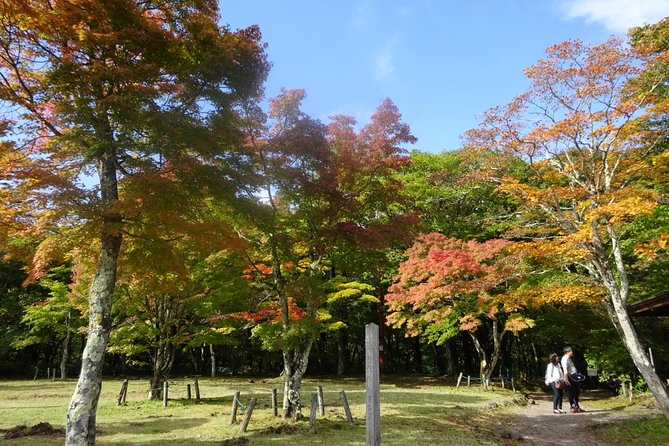 Visit the Amazing Views and Power Spots of ... - Iconic Power Spot Shrines