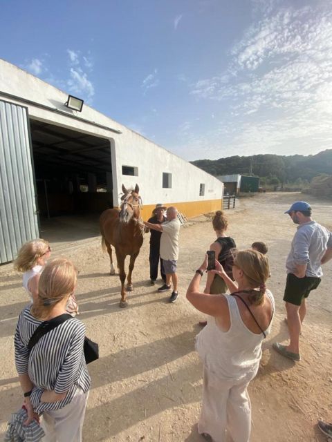 Visit the Angostura Stud + Wine - Key Points