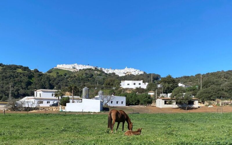 Visit the Angostura Stud + Wine - Detailed Description