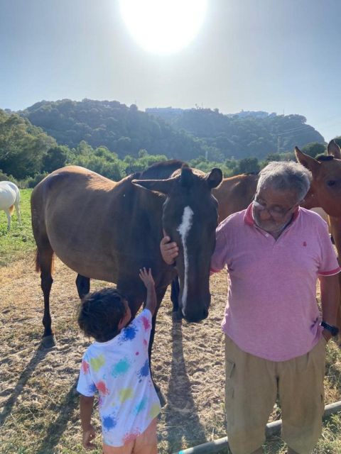 Visit the Angostura Stud + Wine - Accessibility and Group Information