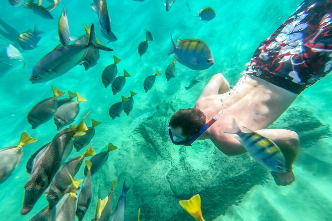 Visit the Arch and Snorkel in Chileno Beach - Pickup and Schedule