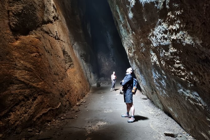 Visit the Best Spots in Tijuca Forest - Hike to Caves & Falls - Tour Features and Inclusions