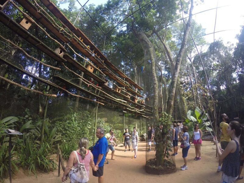 Visit the Bird Park With a Guide - Private Tour - About the Bird Park
