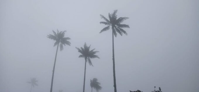 Visit the Cocora Valley and the Magic of Coffee in Salento - Exploring Salentos Coffee Magic