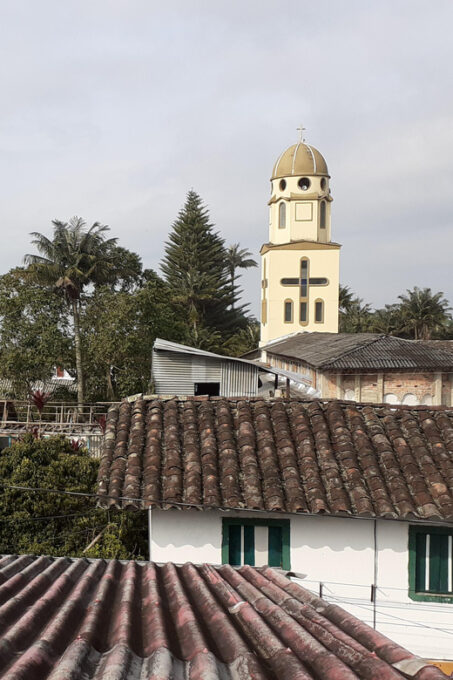 Visit the Cocora Valley and the Magic of Coffee in Salento - Recap
