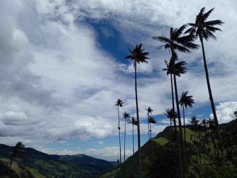Visit the Cocora Valley and the Magic of Coffee in Salento - Inclusions and Exclusions