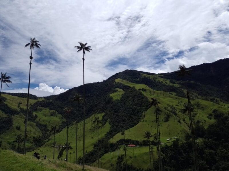 Visit the Cocora Valley and the Magic of Coffee in Salento - Prohibited Items and Conduct