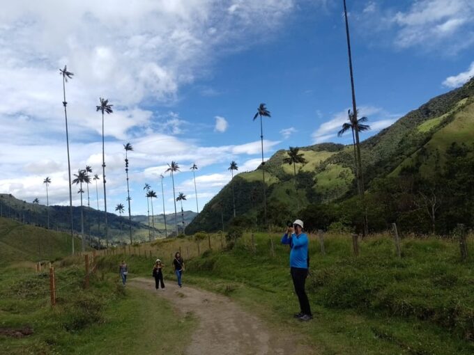 Visit the Cocora Valley and the Magic of Coffee in Salento - Discovering Cocora Valley