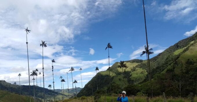 Visit the Cocora Valley and the Magic of Coffee in Salento - Recap
