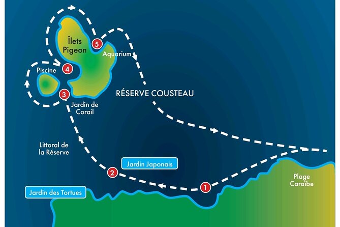 Visit the Cousteau Reserve By Boat Without a License - Accessibility and Health Considerations