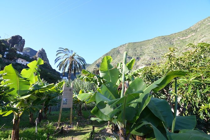 Visit the Ethnographic Park of La Gomera - Pricing and Booking