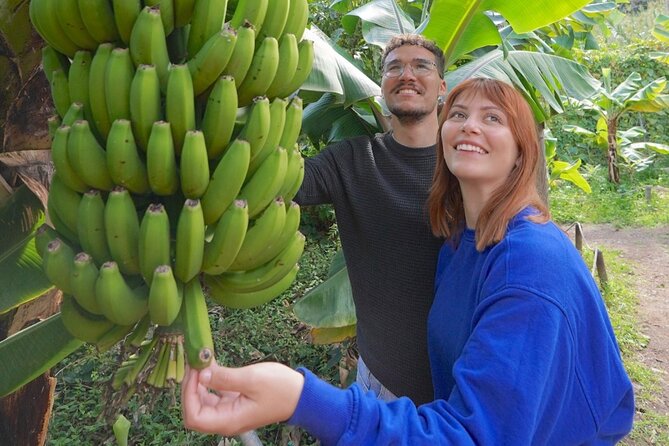 Visit the Ethnographic Park of La Gomera - Getting There