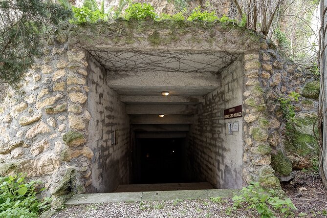 Visit the Etruscan Underground Heritage Site of Tarquinia - Visiting the Tarquinia National Museum
