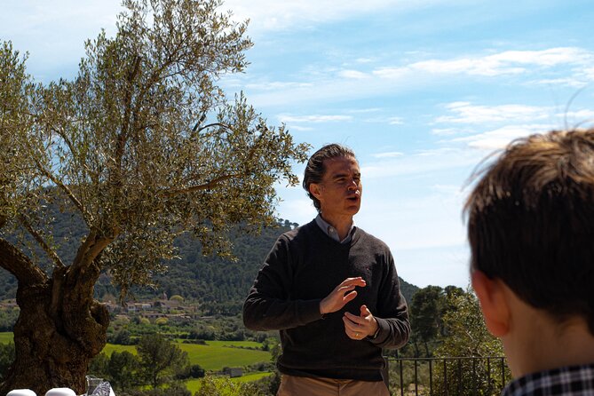 Visit the Finca and Olive Grove, Extra Virgin Olive Oil Tasting and Snack - Highlights of the Olive Oil Tasting