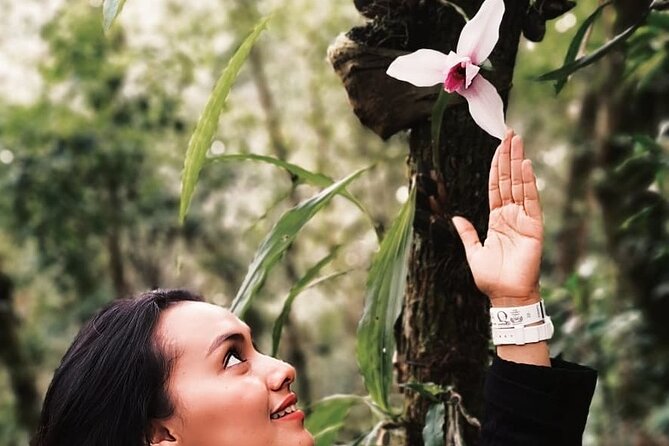Visit The Greatest Orchid Sanctuary: Orquigonia - Half Day Tour - Inclusions