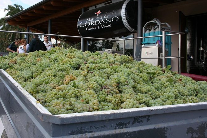 Visit the Marchesi De Cordano Winery and Taste Its Wines - Tasting Experience at the Winery