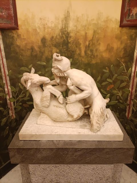 Visit the Museum MANN With a Professional Guide - Key Points