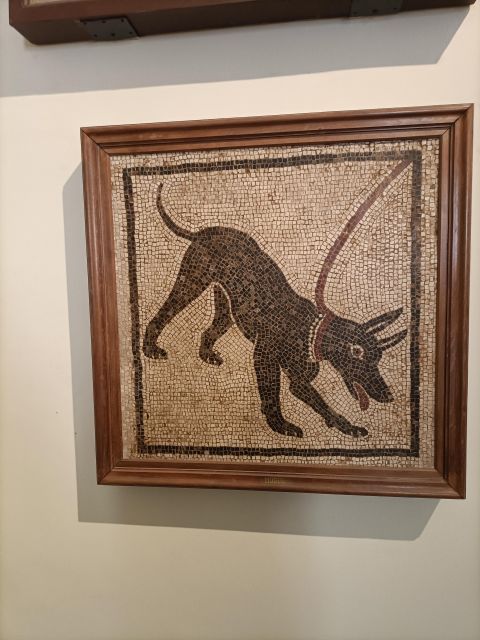Visit the Museum MANN With a Professional Guide - Pricing and Payment