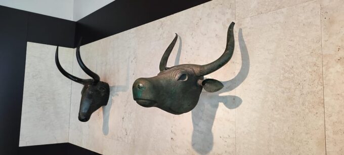 Visit the National Archaeological Museum in Madrid - Additional Policies