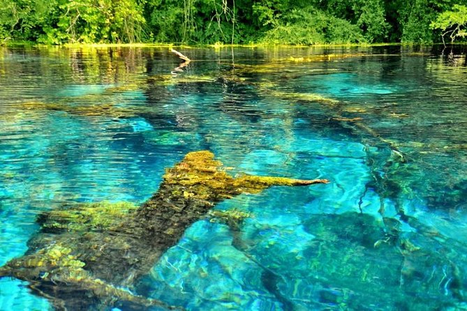 Visit The National Park of Blue Eye - Key Points