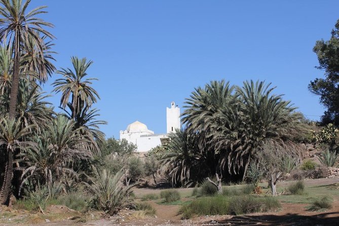 Visit the Oasis & Tea at the Basket Maker. - Private Transportation Details