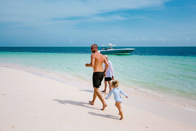 Visit the Ocean Swings! Full Day Harbour Island Private Boat Tour - Tour Highlights