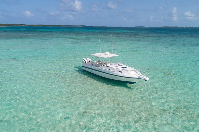 Visit the Ocean Swings! Full Day Harbour Island Private Boat Tour - Exploring Harbour Island