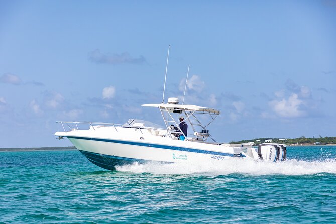 Visit the Ocean Swings! Full Day Harbour Island Private Boat Tour - Questions About Your Stay