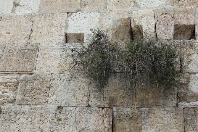 Visit the Old City of Jerusalem : 3000 Years of History, Archeology and Bible - Tour Itinerary and Highlights