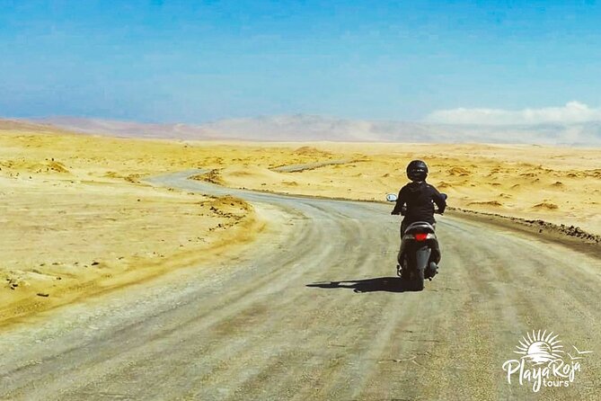 Visit the Paracas National Reserve on a SCOOTER - Customer Feedback