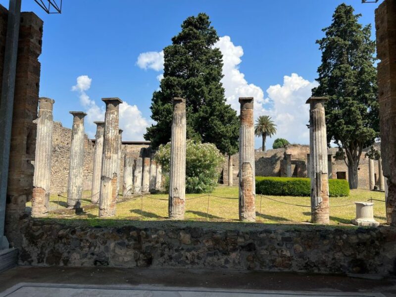 Visit the Pompeii Excavations From Positano - Tour Inclusions