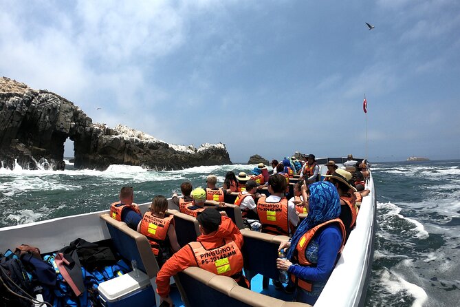 Visit the Sea Lions in Palomino Islands, in Lima Peru - Recommendations and Preparation