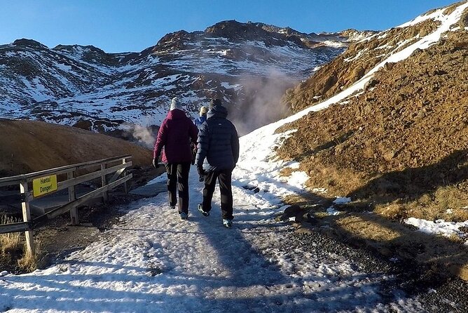 Visit the Volcanoes - Half Day Private Tour - up to 9 Passengers - Meeting and Pickup Location