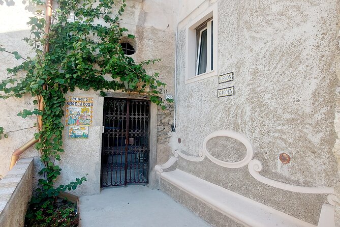 Visit to a Lemon Grove on the Amalfi Coast With Tasting - Tasting Local Delicacies