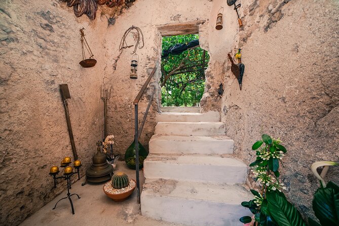 Visit to a Lemon Grove on the Amalfi Coast With Tasting - Tour Accessibility and Restrictions