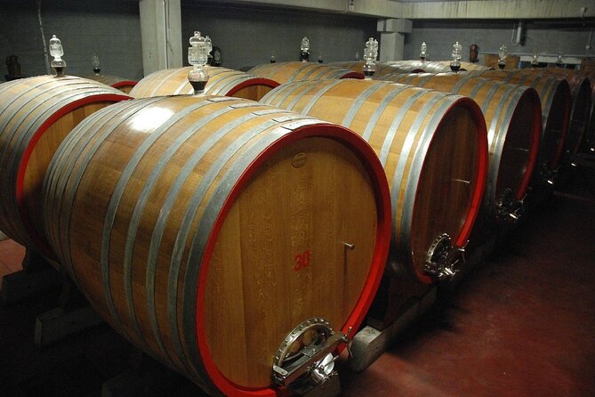 Visit to a Winery in Salento With Wine Tasting and Light Lunch. From Lecce - Tour Overview and Details