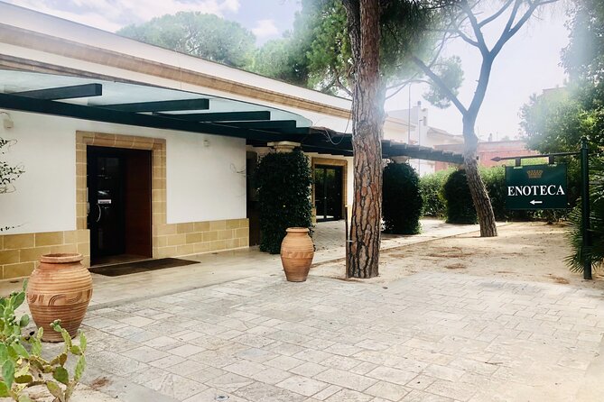 Visit to a Winery in Salento With Wine Tasting and Light Lunch. From Lecce - Group Dynamics and Feedback