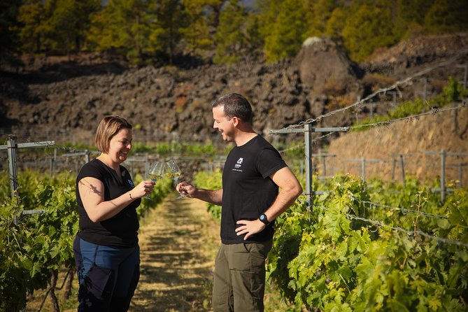 Visit to Arafo Mountain Vineyard and Organic Wine Tasting - Good To Know