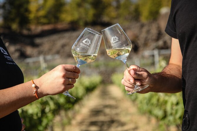 Visit to Arafo Mountain Vineyard and Organic Wine Tasting - Meeting and Pickup Information