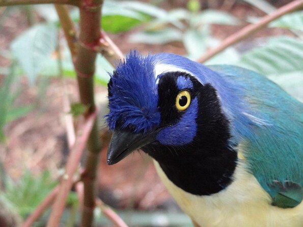 Visit to La Reserva BioPark Private Tour (6 Hrs.) - Key Points