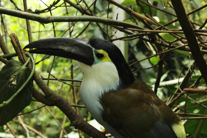Visit to La Reserva BioPark Private Tour (6 Hrs.) - Experience Highlights