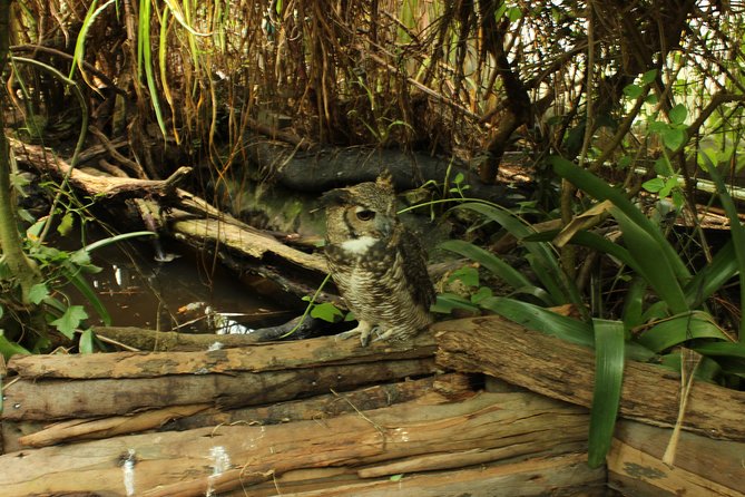 Visit to La Reserva BioPark Private Tour (6 Hrs.) - Booking Information