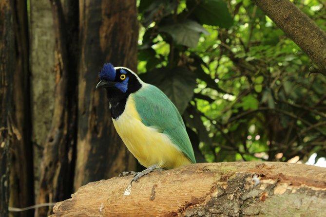 Visit to La Reserva BioPark Private Tour (6 Hrs.) - Accessibility and Requirements