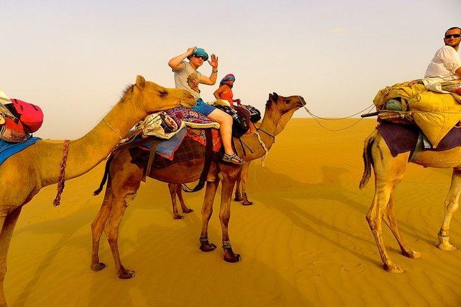 Visit to National Camel Research Center - Key Points