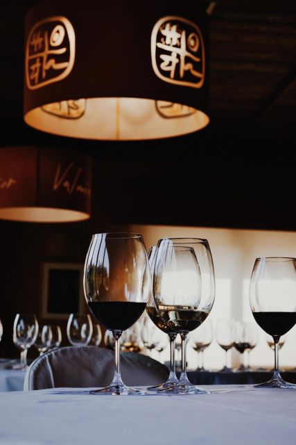 Visit to the Adegas Valmiñor Winery and Tasting - Wine Tasting and Aperitifs