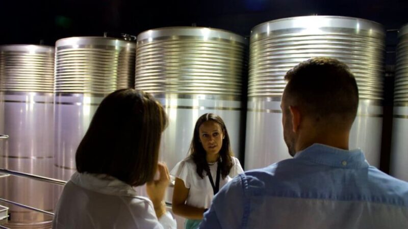 Visit to the Adegas Valmiñor Winery and Tasting - Language Options for the Tour